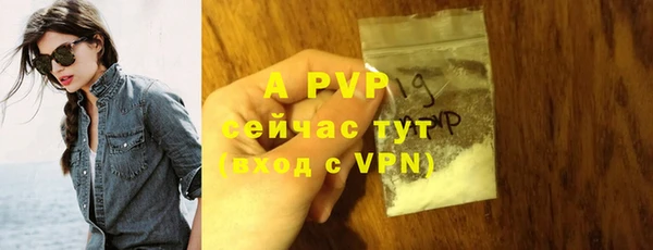 a pvp Абаза