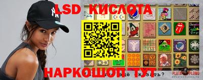 крисы Тверь