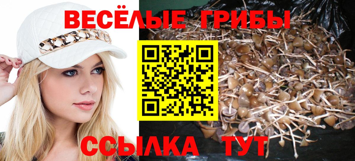 что такое наркотик  Галлюциногенные грибы Psilocybe  Галлюциногенные грибы MAGIC MUSHROOMS  Вход с VPN  Истра 