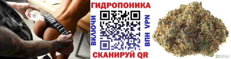 Бошки марихуана ГИДРОПОН  Истра 